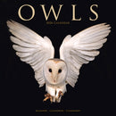 Owls Calendar 2026  Square Birds Wall Calendar - 16 Month-9781804607411