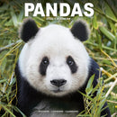 Panadas Calendar 2026  Square Animal Wall Calendar - 16 Month-9781804607428