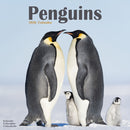 Penguins Calendar 2026  Square Animal Wall Calendar - 16 Month-9781804607435