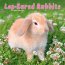 Rabbits - Lop Eared Calendar 2026  Square Animal Wall Calendar - 16 Month-9781804607480