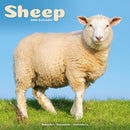 Sheep Calendar 2026  Square Farm Animal Wall Calendar - 16 Month-9781804607497