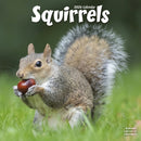 Squirrels Calendar 2026  Square Animal Wall Calendar - 16 Month-9781804607510