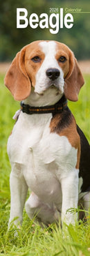 Beagle Slim 2026 Wall Calendar Calendar 2024  Dog Breed Slimline Calendar - 12 Month-9781804607930