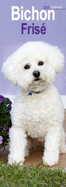 Bichon Frise Slim Calendar 2026  Dog Breed Slimline Calendar - 12 Month-9781804607947