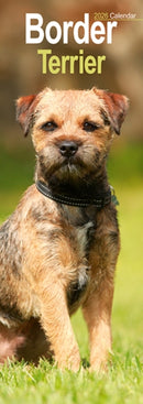 Border Terrier Slim Calendar 2026  Dog Breed Slimline Calendar - 12 Month-9781804607961