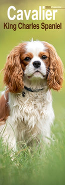 Cavalier King Charles Slim Calendar 2026  Dog Breed Slimline Calendar - 12 Month-9781804607985