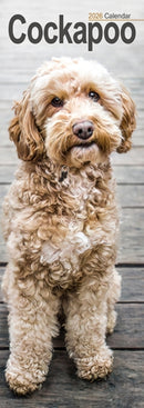 Cockapoo Slim Calendar 2026  Dog Breed Slimline Calendar - 12 Month-9781804607992