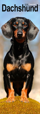 Dachshund Slim Calendar 2026  Dog Breed Slimline Calendar - 12 Month-9781804608005