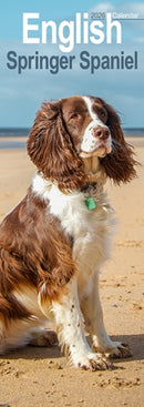 English Springer Spaniel  Slim Calendar 2026  Dog Breed Slimline Calendar - 12 Month-9781804608029