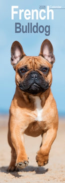 French Bulldog Slim Calendar 2026  Dog Breed Slimline Calendar - 12 Month-9781804608036