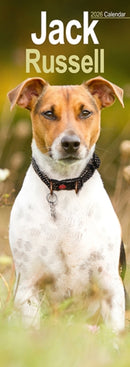 Jack Russell Slim Calendar 2026  Dog Breed Slimline Calendar - 12 Month-9781804608074