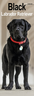 Black Labrador Retriever  Slim Calendar 2026  Dog Breed Slimline Calendar - 12 Month-9781804608081