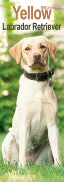 Yellow Labrador Retriever Slim Calendar 2026  Dog Breed Slimline Calendar - 12 Month-9781804608104