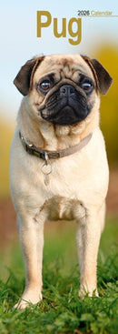 Pug Slim Calendar 2026  Dog Breed Slimline Calendar - 12 Month-9781804608111