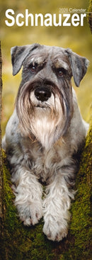 Schnauzer Slim Calendar 2026  Dog Breed Slimline Calendar - 12 Month-9781804608135