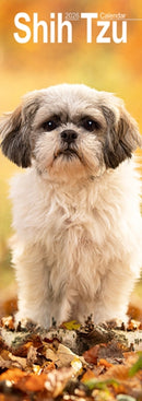 Shih Tzu Slim Calendar 2026  Dog Breed Slimline Calendar - 12 Month-9781804608142