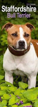 Staffordshire Bull Terrier Slim Calendar 2026  Dog Breed Slimline Calendar - 12 Month-9781804608159