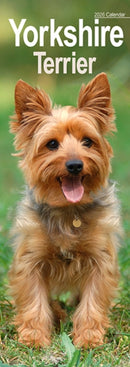 Yorkshire Terrier Slim Calendar 2026  Dog Breed Slimline Calendar - 12 Month-9781804608173