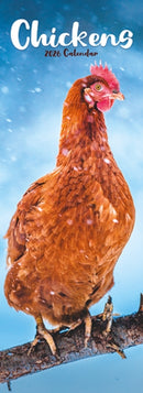 Chickens Slim Calendar 2026  Bird Slimline Calendar - 12 Month-9781804608210