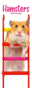 Hamsters Slim Calendar 2026  Cute Slimline Calendar - 12 Month-9781804608234
