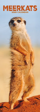 Meerkats  Slim Calendar 2026 Cute Slimline Calendar - 12 Month-9781804608265
