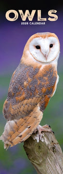Owls Slim Calendar 2026  Bird Slimline Calendar - 12 Month-9781804608272