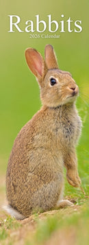 Rabbits Slim Calendar 2026  Cute Slimline Calendar - 12 Month-9781804608289