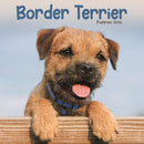 Border Terrier Puppies Square Mini Calen-9781804608357