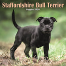 Staffordshire Bull Terrier Puppies Squar-9781804608494