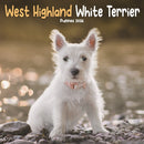 West Highland White Terrier Puppies Squa-9781804608500