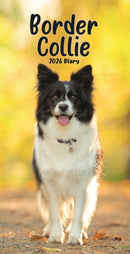 Border Collies Slim Diary 2026-9781804608678