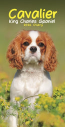 Cavalier King Charles Spaniels Slim Diary 2026-9781804608708