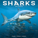 Sharks Calendar 2026  Square Animal Wall Calendar - 16 Month-9781804608951