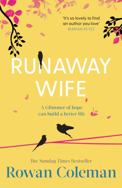 Runaway Wife-9781804950401