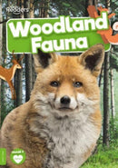 Woodland Fauna-9781805050636