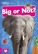 Big or Not?-9781805050896
