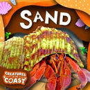 Sand-9781805053927