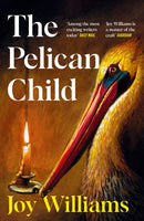 The Pelican Child : Longlisted for the 2025 National Book Award-9781805228578