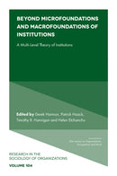 Beyond Microfoundations and Macrofoundations of Institutions