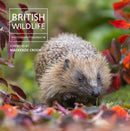 British Wildlife Photography Awards 14-9781805951483