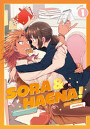 Sora and Haena! Volume 1-9781807110024