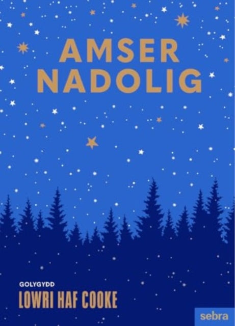 Amser Nadolig-9781835390122