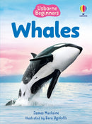 Beginners Whales-9781835409039