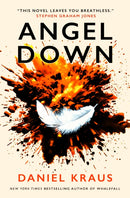 Angel Down-9781835415382