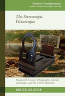 The Stereoscopic Picturesque : Nineteenth-Century Photography, Literary Landscapes, and the Third Dimension-9781835537916