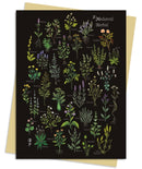 Anna Stead: A Medieval Herbal Greeting Card Pack : Pack of 6-9781835621950