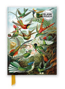 Ernst Haeckel: Hummingbirds (Foiled Blank Journal)-9781835622100