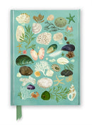 Katherine Quinn: Beachcombing (Foiled Journal)-9781835625255