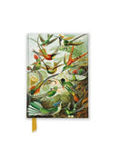 Ernst Haeckel: Hummingbirds (Foiled Pocket Journal)-9781835625804