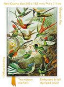 Ernst Haeckel: Hummingbirds (Foiled Quarto Journal)-9781835625910
